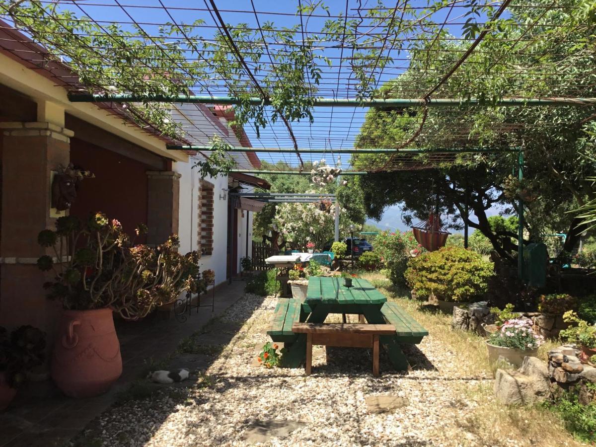 Su Saucu Holiday home Dorgali