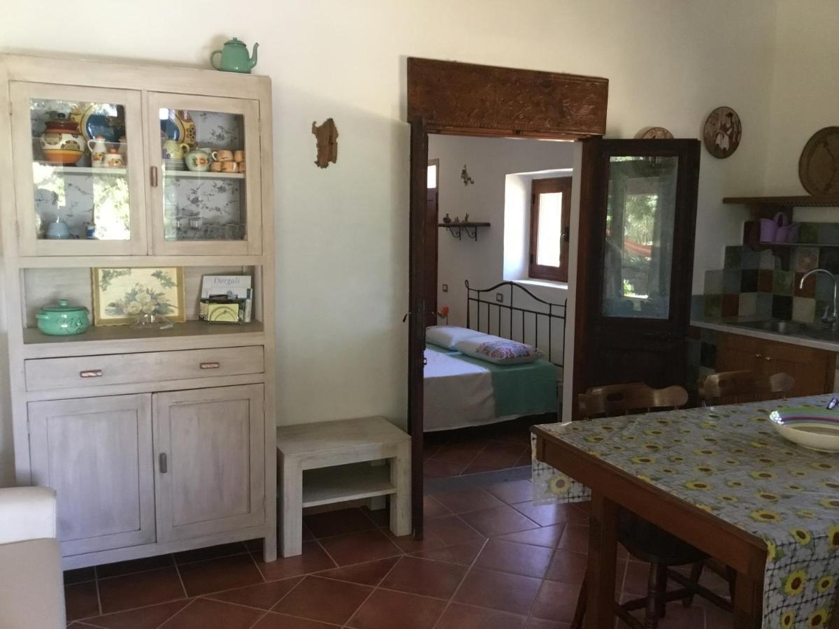 Holiday home Su Saucu Dorgali