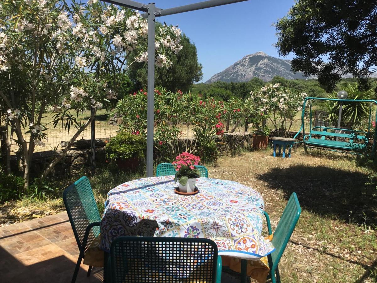 Holiday home Su Saucu Dorgali