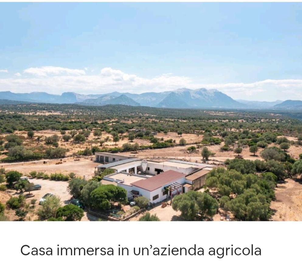 Su Saucu * Dorgali
