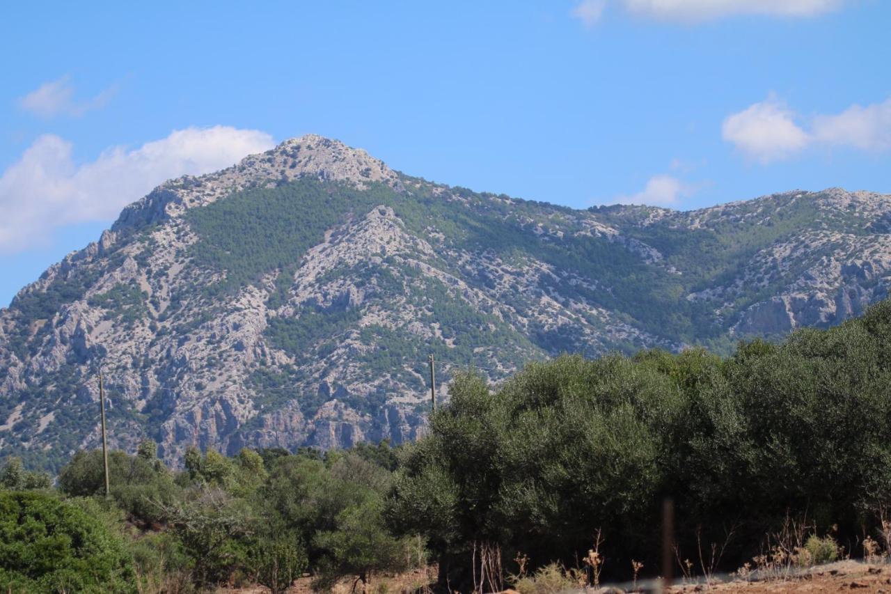 Su Saucu * Dorgali
