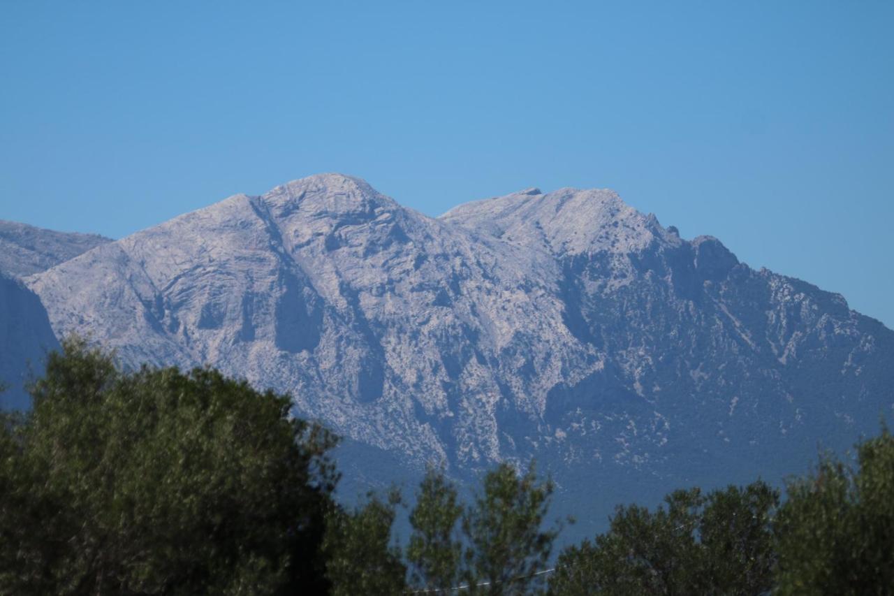 Su Saucu Holiday home